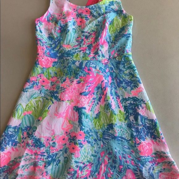 Lilly Pulitzer Other - Lilly Pulitzer Daffodil Dress Fished My Wish